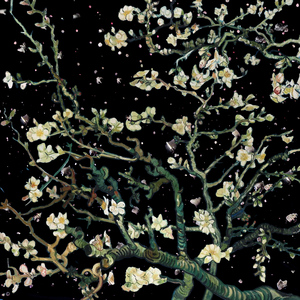 国产女处被破www免费软件
