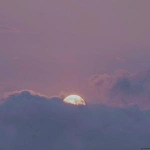 国产女处被破www免费软件
