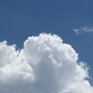 国产女处被破www免费软件
