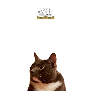 国产女处被破www免费软件
